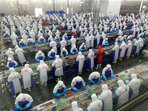 價格大跳水，潛江龍蝦如何應對市場波動——記者一線調研產業鏈各環節的“穩定器”