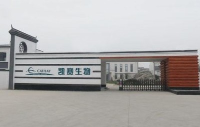 剛剛,80后科學家楊晨獲聘生物基聚酰胺龍頭凱賽生物副總裁