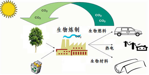 美麗化工-生物煉制--解決資源和環(huán)境問(wèn)題的金鑰匙