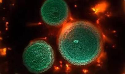 魏蔻蔻:一家年銷(xiāo)售額過(guò)百億歐元的公司是如何兼顧利潤(rùn)和環(huán)境的? - 今日頭條(TouTiao.org)