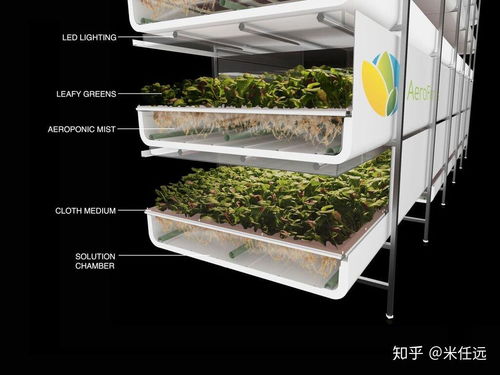 農學專業(yè)在中國有什么未來