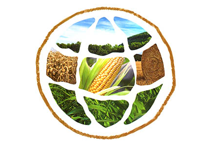 生物基材料聚乳酸pla將是助力綠色環(huán)保的未來之鑰