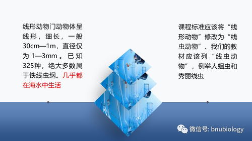 中學(xué)生物學(xué)課程目標(biāo)由雙基走向核心素養(yǎng),在生物學(xué)課堂上我們?cè)摻探o孩子們什么