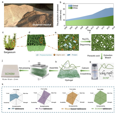中科大俞書宏院士團隊AM:可食用、超強、熱穩(wěn)定好的海藻基結構材料,可生物降解餐具新選擇!