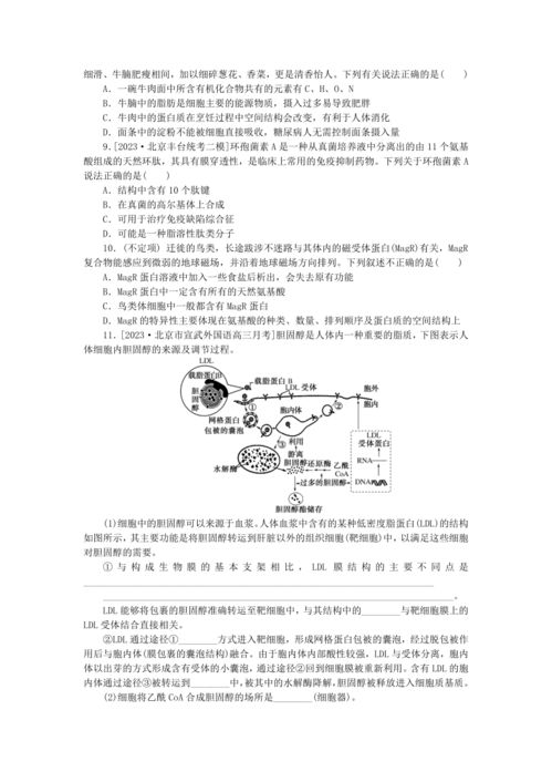 新教材2024高考生物二輪專題復習整合訓練1生命系統(tǒng)的物質基礎 含解析